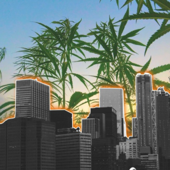 HempFarmsAustralia_podcast